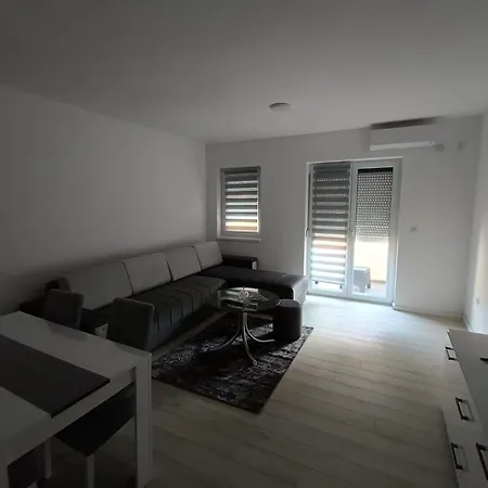 Apartment Petrovic 4