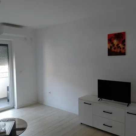 Petrovic 4 Apartament Sokobanja