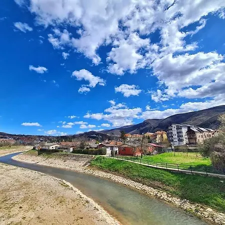 Petrovic 4 Apartament *