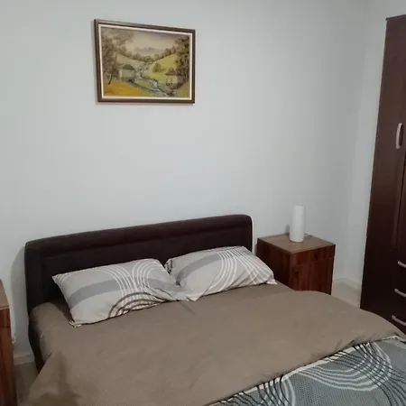 Petrovic 4 Sokobanja