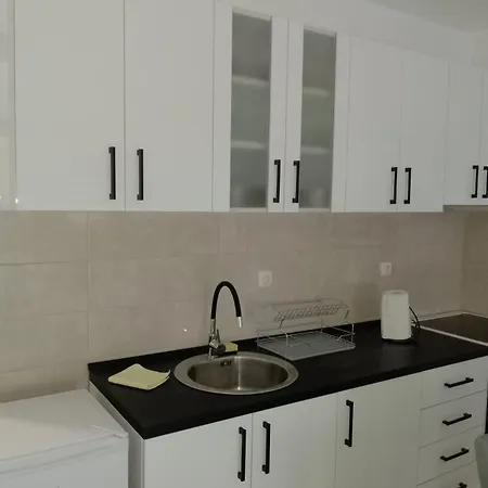 Apartment Petrovic 4