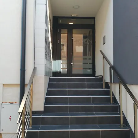 Apartment Petrovic 4 Sokobanja