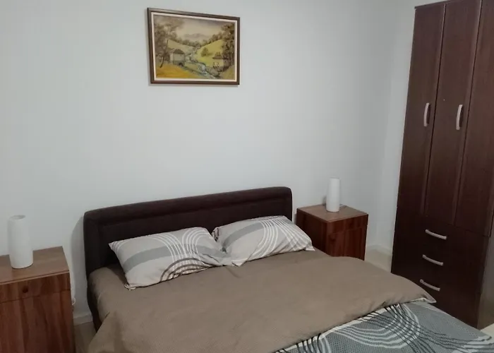 Petrovic 4 Soko Banja